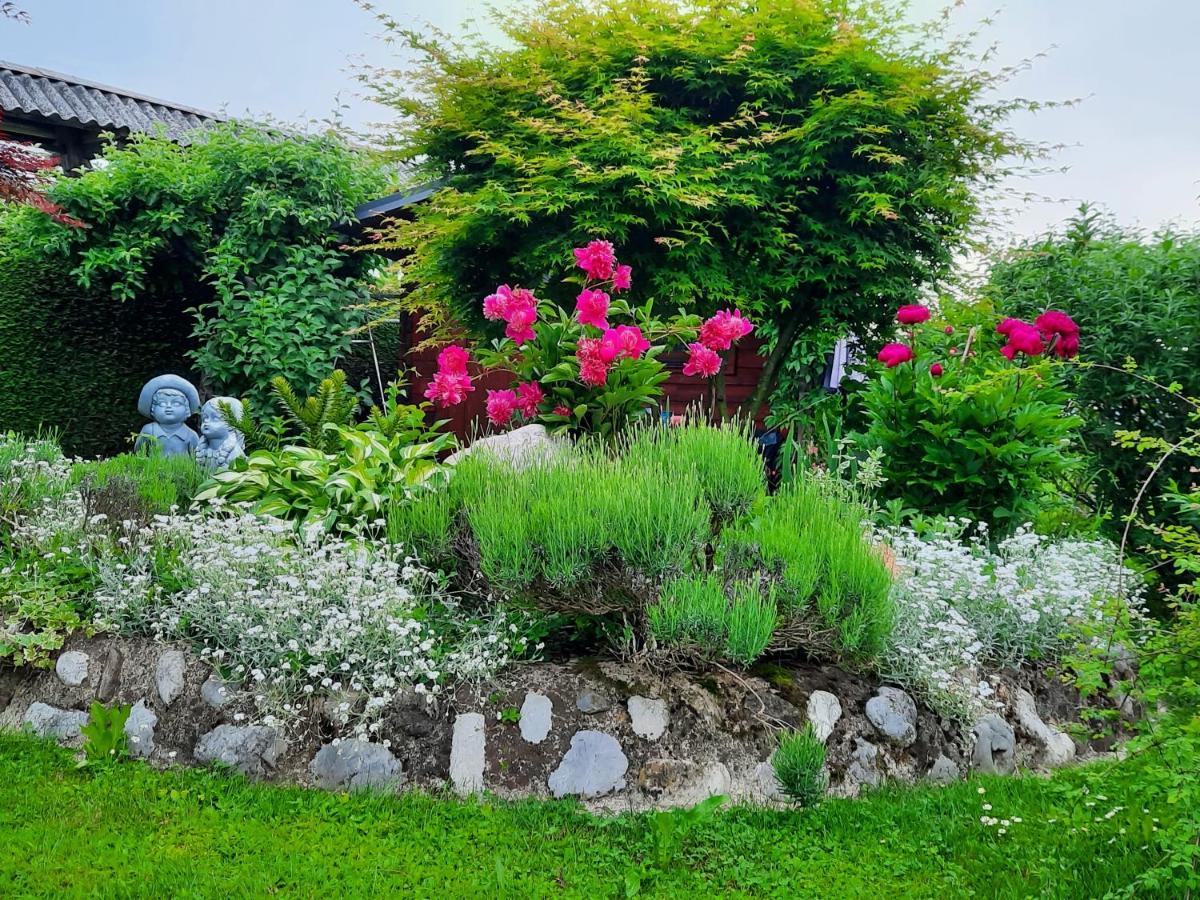 Garden Paradise Bled Apartments - Garden, Pond And Castle View 外观 照片