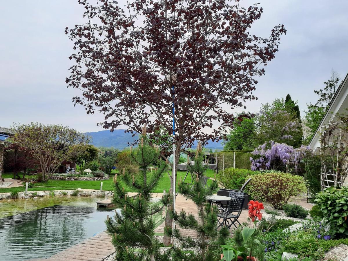 Garden Paradise Bled Apartments - Garden, Pond And Castle View 外观 照片
